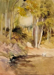 En el bosque