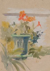 Pelargonios en la terraza