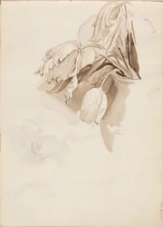 Tulipanes