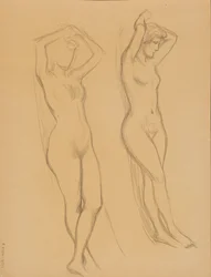 Desnudo