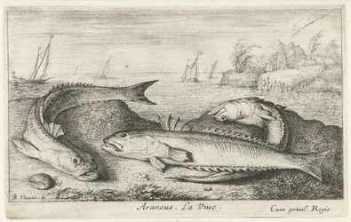 Tres weevers manchados en la playa Araneus. La vida. (título en el objeto) Peces y otras criaturas marinas: segunda serie de agua salada (título de la serie) Poissons de mer (título de la serie)