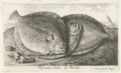 Tres pollitos en la playa Rhombus Laeuis La Barbuë (título sobre objeto) Peces y otras criaturas marinas: tercera serie de agua salada (título de la serie) Poissons de mer (título de la serie)