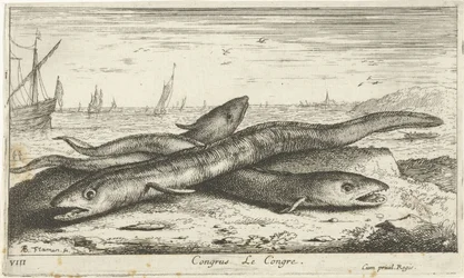 Tres anguilas marinas en la playa Congreso Le Congreso. (título en el objeto) Peces y otras criaturas marinas: primera serie de agua salada (título de la serie) Diverse Especes de Poissons de mer (título de serie)