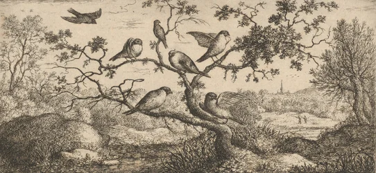 El camachuelo: Libro de aves, 1655-1660