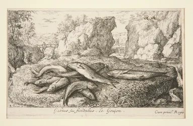 Gabius o Fundus. Le Goujon