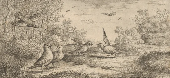 Garrulus, Gey El arrendajo: Libro de aves
