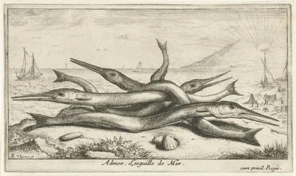 clavado en la playa Admos. Lesguille de Mer. (título en el objeto) Peces y otras criaturas marinas: tercera serie de agua salada (título de la serie) Poissons de mer (título de la serie)