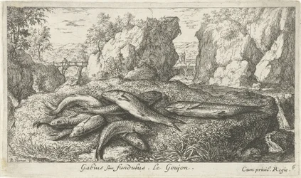 Gobios en la orilla de un río Gabius siue fundulus. Le Goujon. (título en el objeto) Peces y otras criaturas marinas: segunda serie de agua dulce (título de la serie) Seconde partie de Poissons d