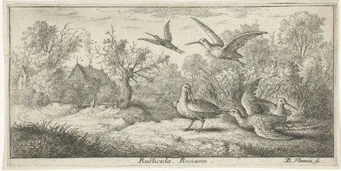Paisaje con becadas; Rusticula. Becasse. (título en el objeto); Libro de aves (título de la serie); Livre d