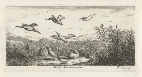 Paisaje con martines pescadores alcedo; Martin-pecrack. (título en el objeto) Libro de aves (título de la serie) Livre d