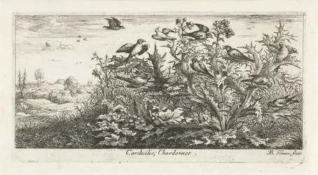 Paisaje con jilguero en cardo Carduelis; Chardonneret. (título en el objeto) Libro de aves (título de la serie) Livre d