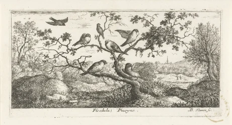 Paisaje con agachadizas ficédula; Piuoyne. (título en el objeto) Libro de aves (título de la serie) Livre d