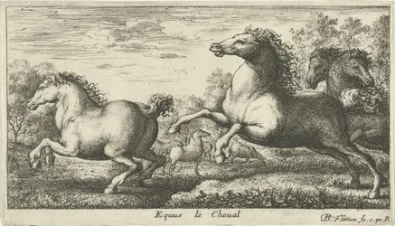 Caballos Equus le Cheval (título sobre objeto) Diferentes especies animales (título de la serie)