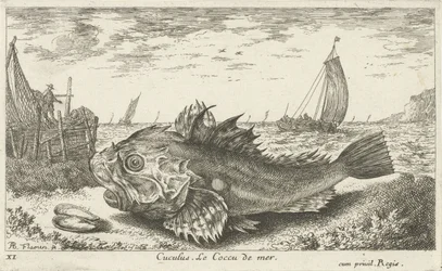 Poon en la playa Cuculus. Le Coccu de mer (título sobre objeto) Peces y otras criaturas marinas: primera serie de agua salada (título de la serie) Diverse Especes de Poissons de mer (título de serie)
