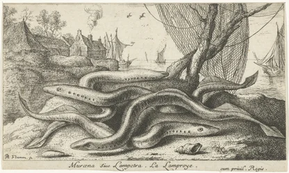 Lamprea de río en una orilla
Muraena siue Lampetra. La Lamproye. (título en el objeto)
Peces y otros animales marinos - agua dulce segunda serie (título de la serie)
Seconde partie de Poissons d