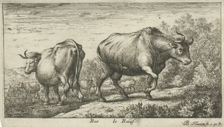 toros Bos le Boeuf (título sobre objeto) Diferentes especies animales (título de la serie)