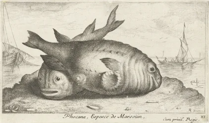 Dos marsopas en la playa Phoca Na, Espèce de Marsoüin, (título sobre objeto) Peces y otras criaturas marinas: tercera serie de agua salada (título de la serie) Poissons de mer (título de la serie)