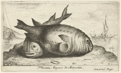Dos marsopas en la playa Phoca Na, Espèce de Marsoüin, (título sobre objeto) Peces y otras criaturas marinas: tercera serie de agua salada (título de la serie) Poissons de mer (título de la serie)
