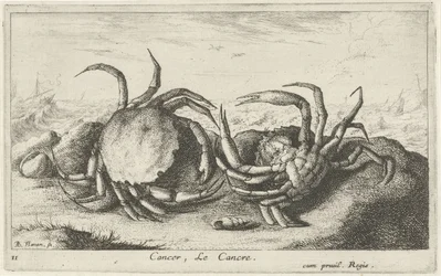 Dos cangrejos en la playa Cáncer, Le Cancre (título sobre objeto) Peces y otras criaturas marinas: primera serie de agua salada (título de la serie) Diverse Especes de Poissons de mer (título de serie)