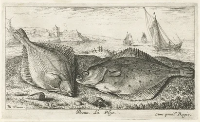 Dos lenguados en la playa peseta La Plyé. (título en el objeto) Peces y otras criaturas marinas: segunda serie de agua salada (título de la serie) Poissons de mer (título de la serie)