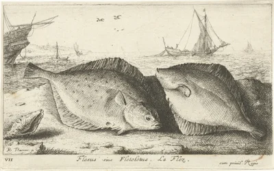 Dos sollas en la playa Flesus siue Fleteletus. La flez. (título en el objeto) Peces y otras criaturas marinas: primera serie de agua salada (título de la serie) Diverse Especes de Poissons de mer (título de serie)
