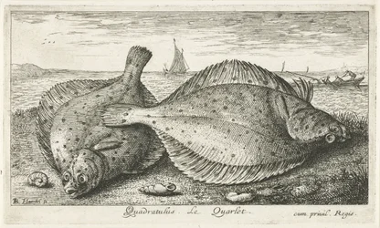 Dos sollas en la playa Quadratulus. Le Quarlet. (título en el objeto) Peces y otras criaturas marinas: tercera serie de agua salada (título de la serie) Poissons de mer (título de la serie)