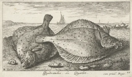 Dos sollas en la playa Quadratulus. Le Quarlet. (título en el objeto) Peces y otras criaturas marinas: tercera serie de agua salada (título de la serie) Poissons de mer (título de la serie)