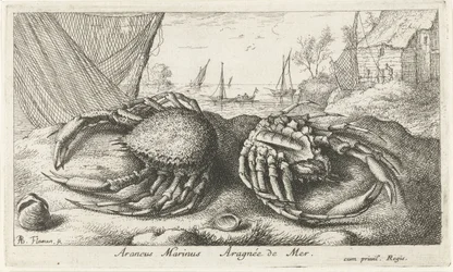Dos centollos cerca de una red de pesca Araneus Marinus Aragnée de Mer (título sobre el objeto) Peces y otras criaturas marinas: segunda serie de agua salada (título de la serie) Poissons de mer (título de la serie)