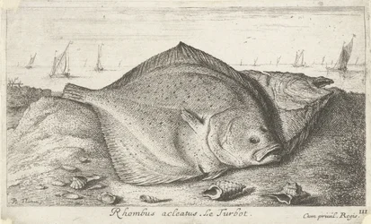 Dos rodaballos en la playa Rombo acleato. El rodaballo. (título en el objeto) Peces y otras criaturas marinas: tercera serie de agua salada (título de la serie) Poissons de mer (título de la serie)