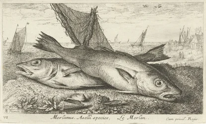 Dos pescadillas en la playa
Merlanus. Especie de Aselli, Le merlan. (título en el objeto)
Peces y otros animales marinos - agua salada primera serie (título de la serie)
Diverses Especes de Poissons de mer (título de la serie)