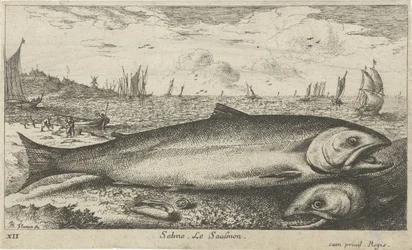 Dos salmones en la playa Salmo. Le Saulmon (título sobre objeto) Peces y otras criaturas marinas: primera serie de agua salada (título de la serie) Diverse Especes de Poissons de mer (título de serie)