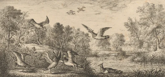 El Avefría: Libro de Aves, 1655-1660