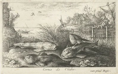 Cuatro cachos en la orilla de un río Cortus LeChabot. (título en el objeto) Peces y otras criaturas marinas: segunda serie de agua dulce (título de la serie) Seconde partie de Poissons d