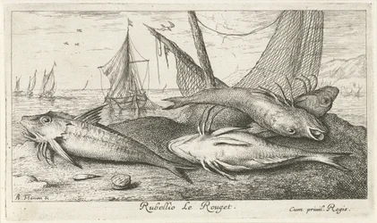 Cuatro salmonetes en la playa Rubellio Le Rouget. (título en el objeto) Peces y otras criaturas marinas: segunda serie de agua salada (título de la serie) Poissons de mer (título de la serie)