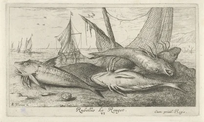 Cuatro salmonetes en la playa Rubellio Le Rouget. (título en el objeto) Peces y otras criaturas marinas: segunda serie de agua salada (título de la serie) Poissons de mer (título de la serie)