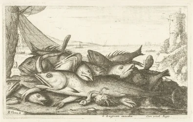 Pesca del cangrejo ermitaño Diferentes especies de peces (título de la serie) Diverse Especes De Poissons tant de Mer, que d