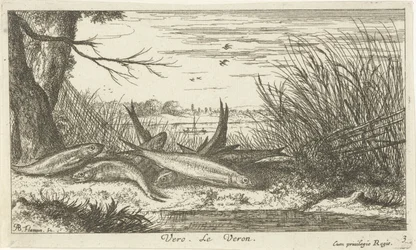 Cucarachas en la orilla del río Vero. Le Verón. (título en el objeto) Peces y otras criaturas marinas: segunda serie de agua dulce (título de la serie) Seconde partie de Poissons d
