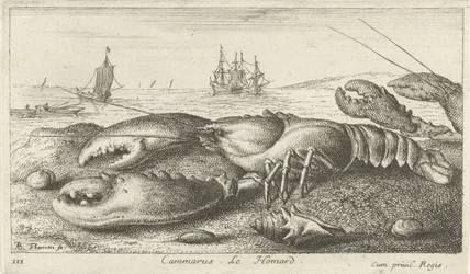 Langosta en la playa
Cammarus. Le Homard (título en el objeto)
Peces y otros animales marinos - agua salada primera serie (título de la serie)
Diverses Especes de Poissons de mer (título de la serie)