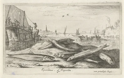 Seis olores en la playa Eperlano. L´Esperlan. (título en el objeto) Peces y otras criaturas marinas: segunda serie de agua salada (título de la serie) Poissons de mer (título de la serie)