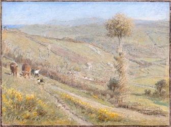 Valle de Berryharbour, N.Devon