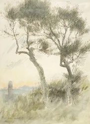 Estudio de Dos Árboles