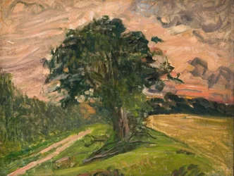 Paisaje vespertino. Tisvilde