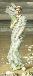 Conchas marinas, 1875