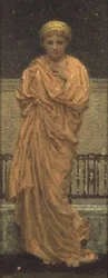 Estrellas