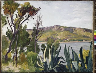 Paisaje con agave. (óleo sobre lienzo