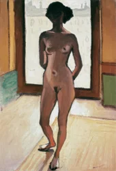 Desnudo a contraluz