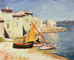 Saint-Tropez, c.1905 (óleo sobre lienzo)