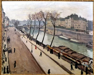 Vista del Sena desde el Quai des Grands Augustins de París