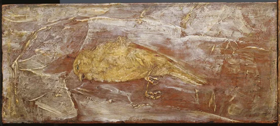 Pájaro muerto