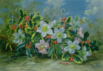 Rosas de Navidad y acebo